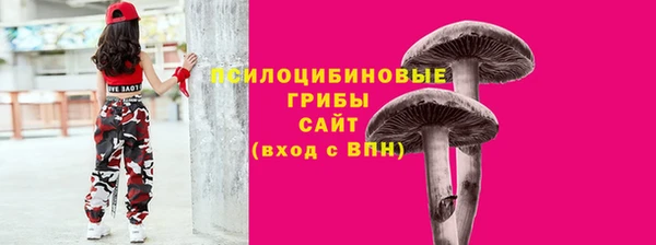 Альфа ПВП Белокуриха